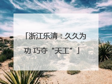 浙江乐清：久久为功 巧夺“天工”